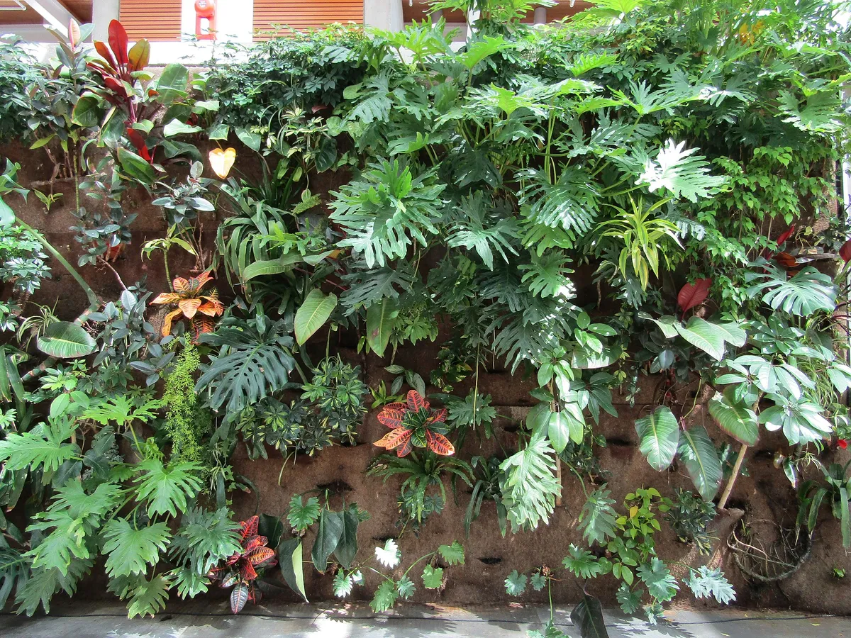 Detail van een levende plantenwand